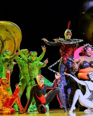 Cirque Du Soleil - Ovo San Antonio