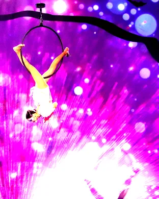 Cirque Musica Holiday Wonderland San Antonio