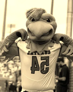 Coastal Carolina Chanticleers Conway