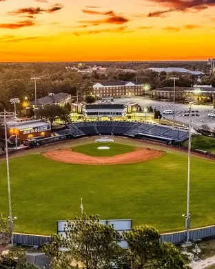 Georgia Southern Eagles Baseball San Antonio