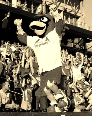 Springfield Cardinals San Antonio